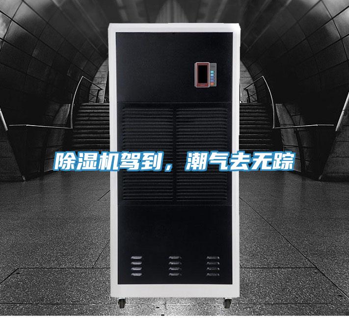 除濕機(jī)駕到，潮氣去無(wú)蹤