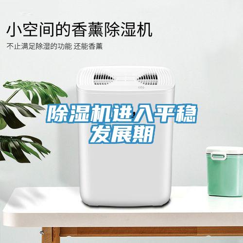 除濕機進入平穩(wěn)發(fā)展期