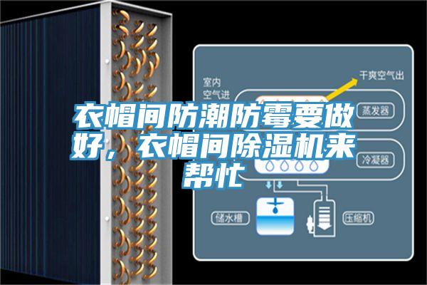 衣帽間防潮防霉要做好，衣帽間除濕機來幫忙
