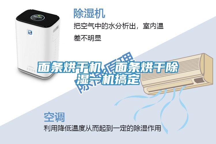 面條烘干機(jī)，面條烘干除濕一機(jī)搞定