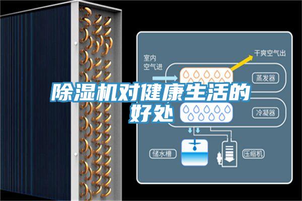 除濕機(jī)對健康生活的好處