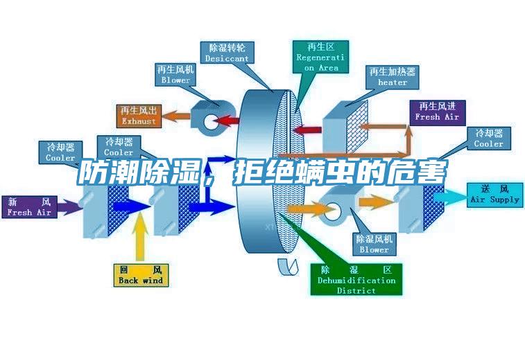 防潮除濕，拒絕螨蟲的危害