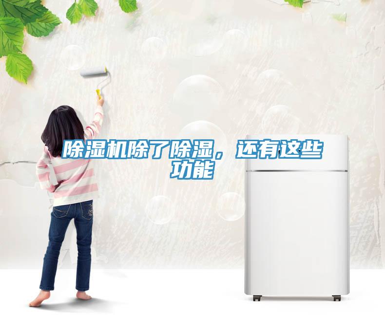除濕機(jī)除了除濕，還有這些功能