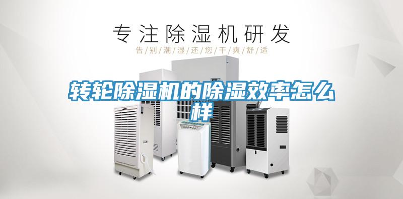 轉(zhuǎn)輪除濕機(jī)的除濕效率怎么樣