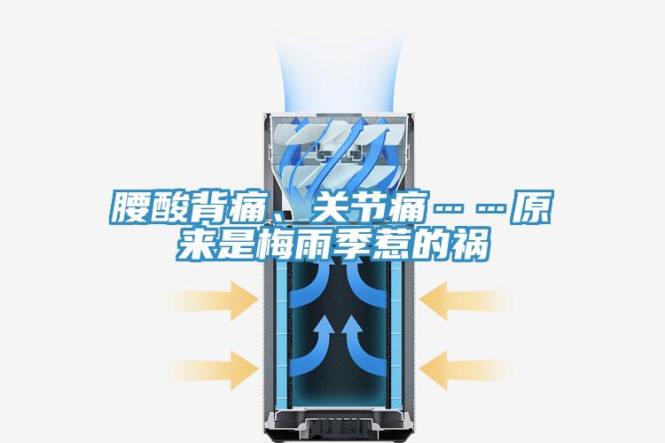腰酸背痛、關(guān)節(jié)痛……原來是梅雨季惹的禍
