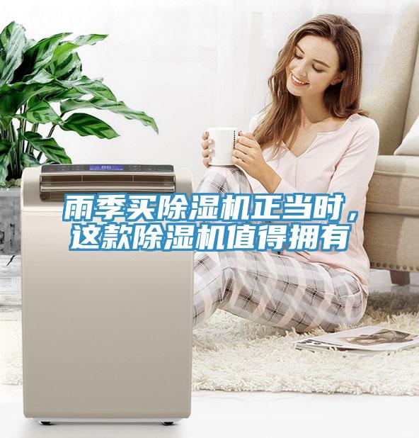 雨季買除濕機正當時，這款除濕機值得擁有