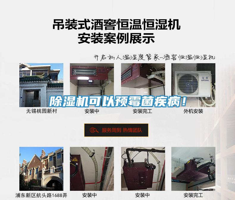 除濕機可以預霉菌疾病！