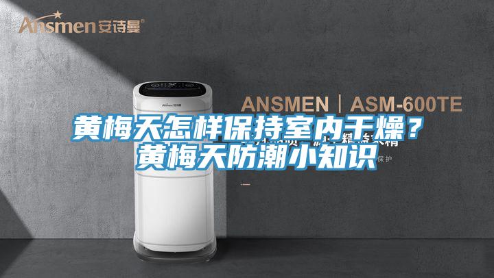黃梅天怎樣保持室內(nèi)干燥？ 黃梅天防潮小知識(shí)