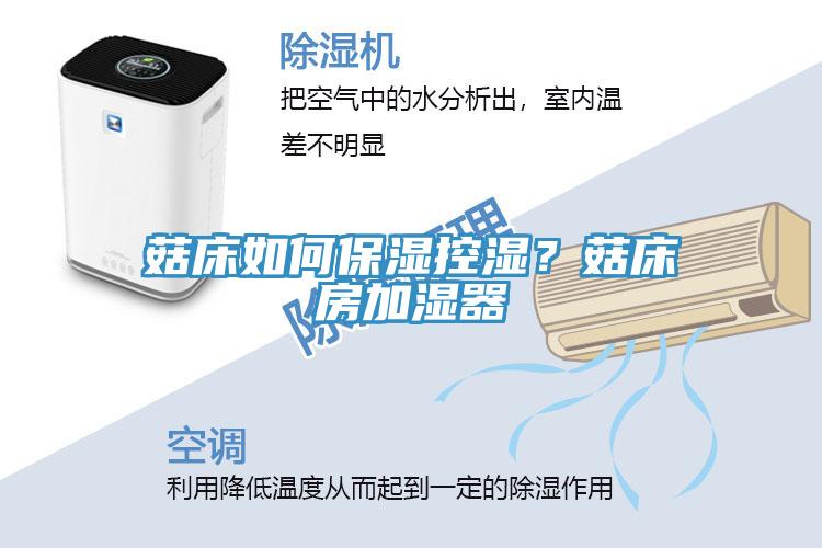 菇床如何保濕控濕？菇床房加濕器
