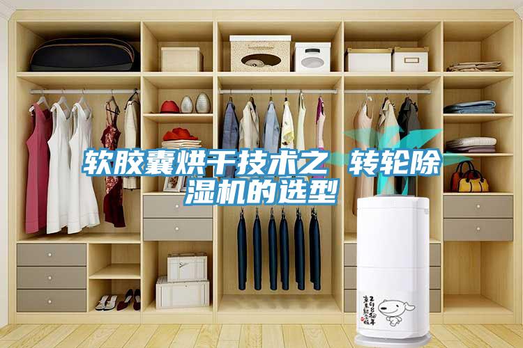 軟膠囊烘干技術(shù)之 轉(zhuǎn)輪除濕機的選型