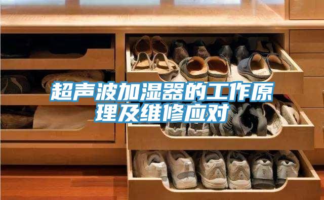 超聲波加濕器的工作原理及維修應(yīng)對(duì)