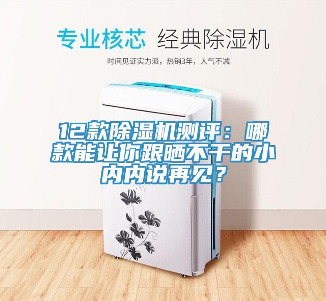12款除濕機測評：哪款能讓你跟曬不干的小內(nèi)內(nèi)說再見？