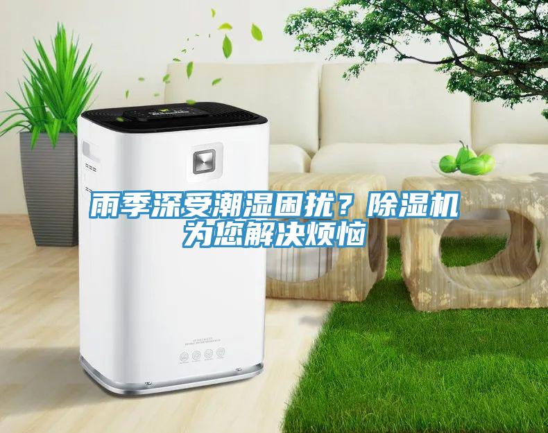 雨季深受潮濕困擾？除濕機為您解決煩惱