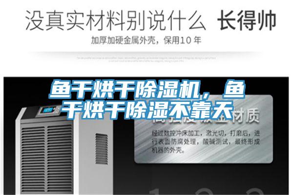 魚干烘干除濕機，魚干烘干除濕不靠天