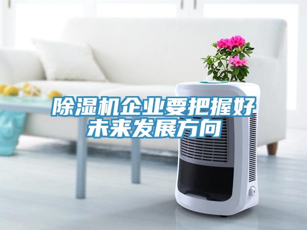 除濕機(jī)企業(yè)要把握好未來發(fā)展方向