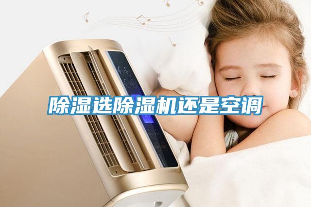 除濕選除濕機(jī)還是空調(diào)