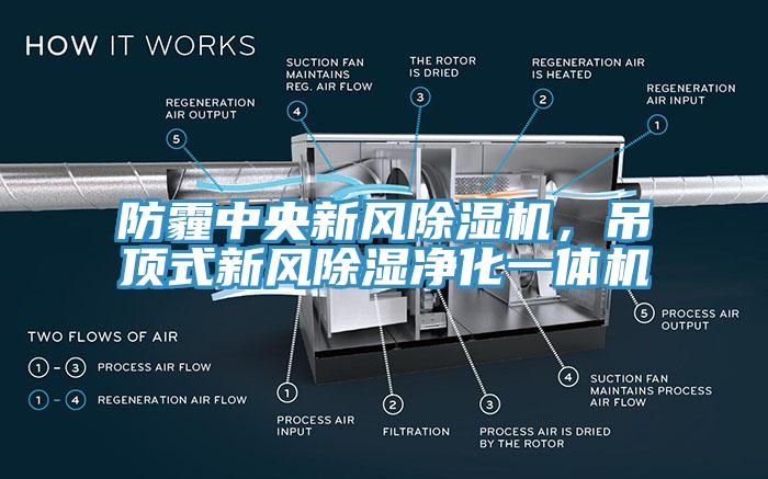 防霾中央新風(fēng)除濕機(jī)，吊頂式新風(fēng)除濕凈化一體機(jī)