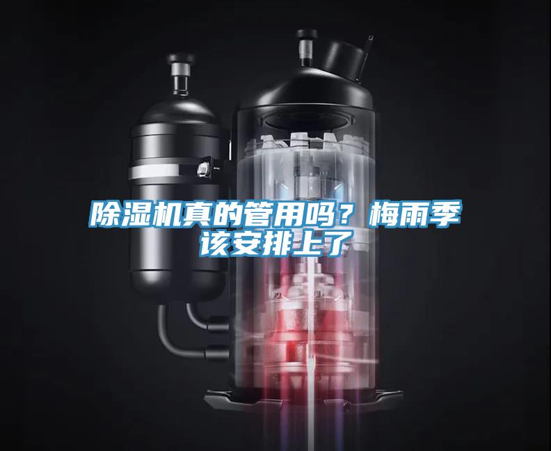 除濕機(jī)真的管用嗎？梅雨季該安排上了
