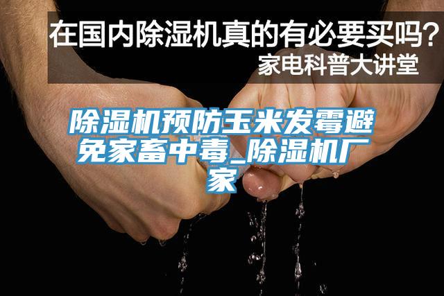 除濕機預防玉米發(fā)霉避免家畜中毒_除濕機廠家