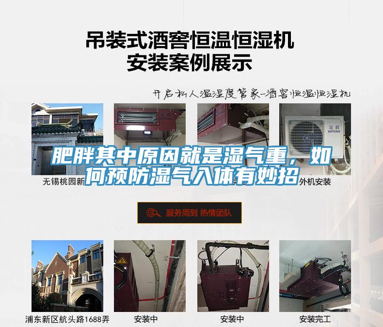 肥胖其中原因就是濕氣重，如何預(yù)防濕氣入體有妙招