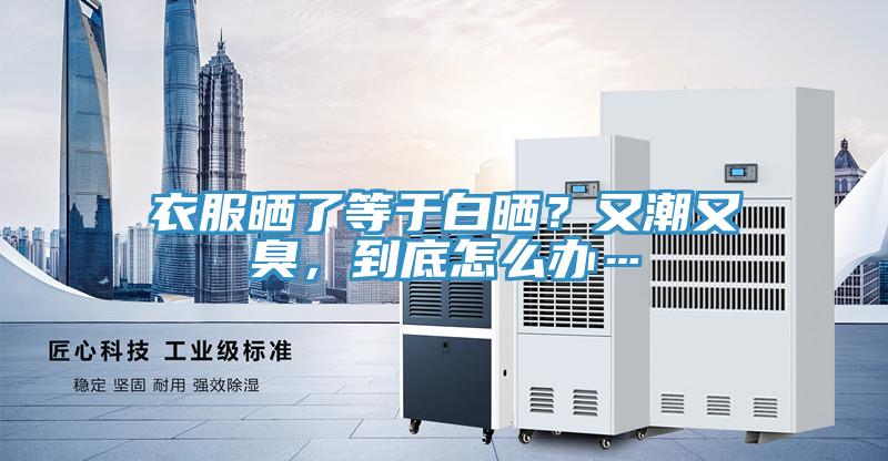 衣服曬了等于白曬？又潮又臭，到底怎么辦…