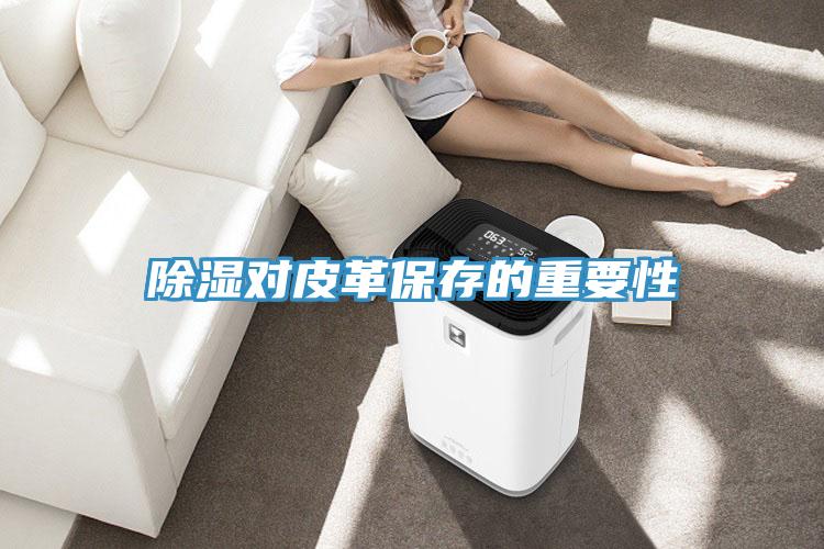 除濕對皮革保存的重要性