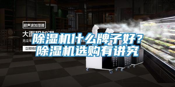 除濕機(jī)什么牌子好？除濕機(jī)選購有講究