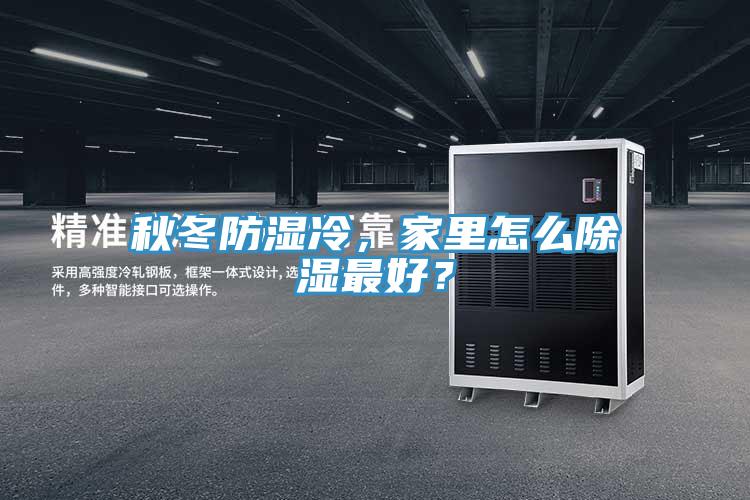 秋冬防濕冷，家里怎么除濕最好？