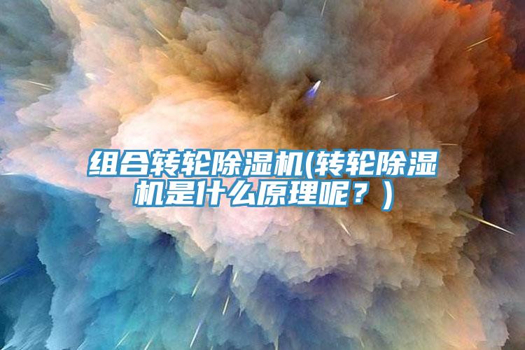 組合轉(zhuǎn)輪除濕機(jī)(轉(zhuǎn)輪除濕機(jī)是什么原理呢？)