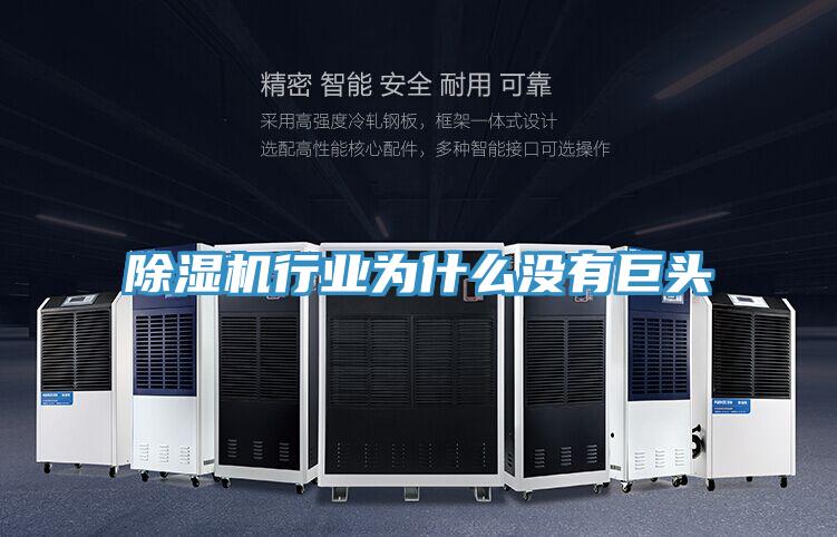 除濕機(jī)行業(yè)為什么沒(méi)有巨頭