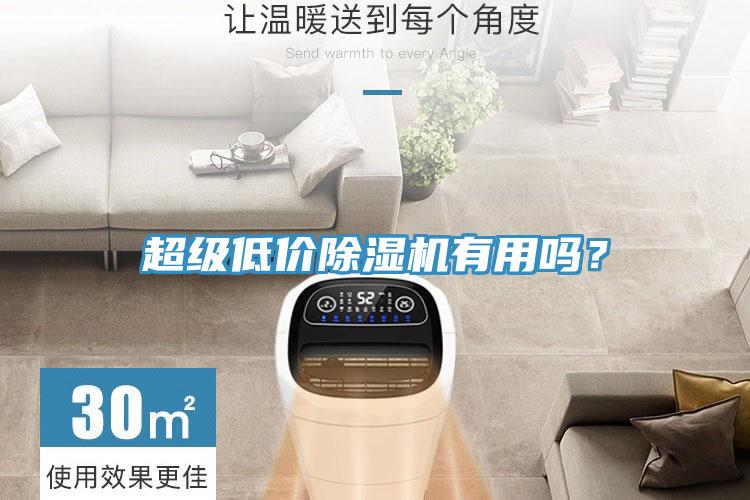 超級(jí)低價(jià)除濕機(jī)有用嗎？