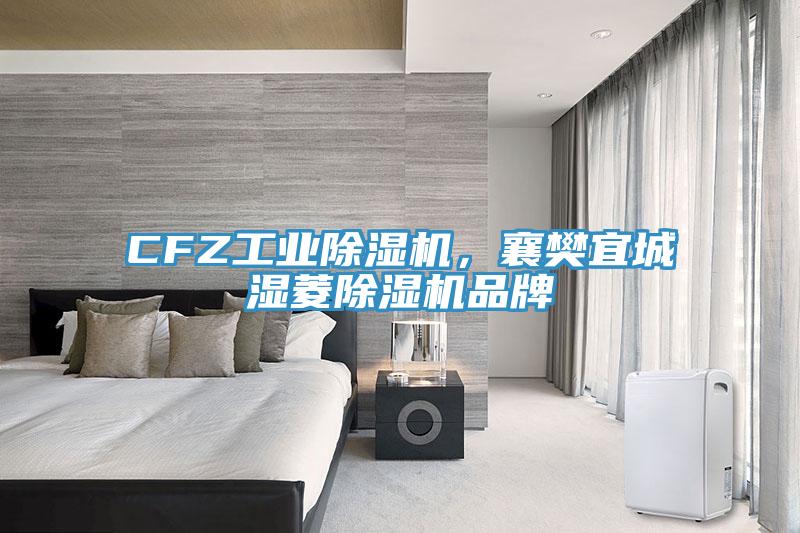 CFZ工業(yè)除濕機(jī)，襄樊宜城濕菱除濕機(jī)品牌