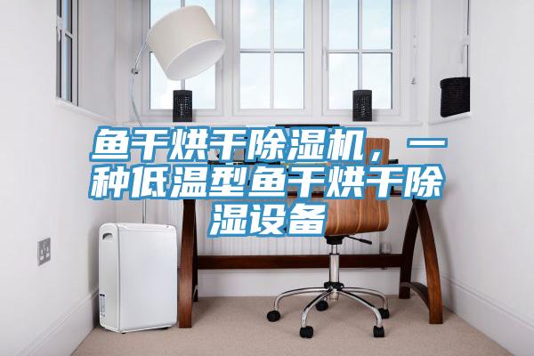 魚干烘干除濕機，一種低溫型魚干烘干除濕設(shè)備