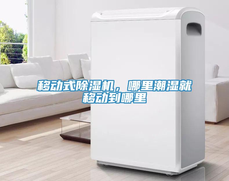 移動(dòng)式除濕機(jī)，哪里潮濕就移動(dòng)到哪里