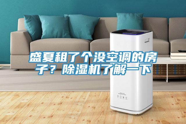 盛夏租了個沒空調(diào)的房子？除濕機了解一下