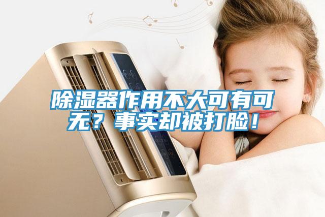 除濕器作用不大可有可無(wú)？事實(shí)卻被打臉！