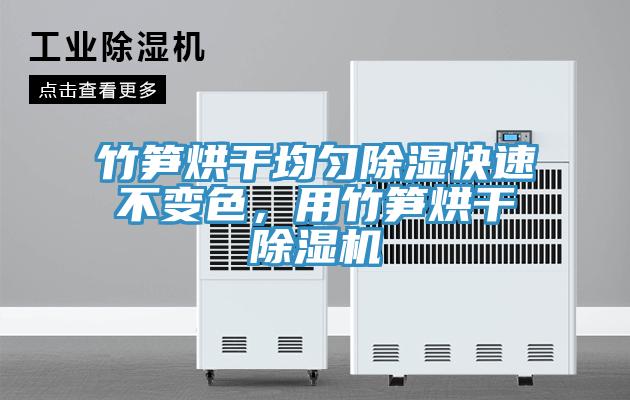竹筍烘干均勻除濕快速不變色，用竹筍烘干除濕機(jī)
