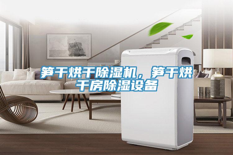 筍干烘干除濕機(jī)，筍干烘干房除濕設(shè)備