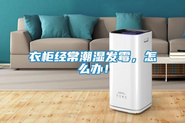 衣柜經(jīng)常潮濕發(fā)霉，怎么辦！