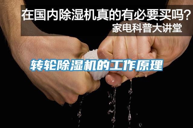 轉(zhuǎn)輪除濕機(jī)的工作原理