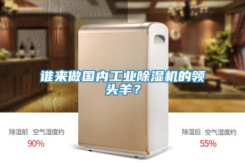誰來做國內(nèi)工業(yè)除濕機(jī)的領(lǐng)頭羊？