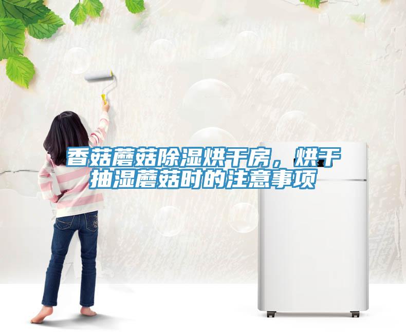 香菇蘑菇除濕烘干房，烘干抽濕蘑菇時的注意事項