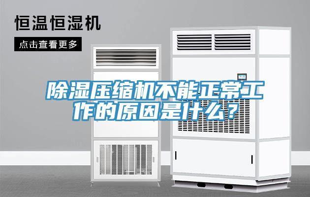 除濕壓縮機(jī)不能正常工作的原因是什么？