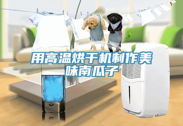 用高溫烘干機制作美味南瓜子