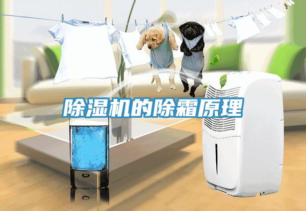 除濕機(jī)的除霜原理