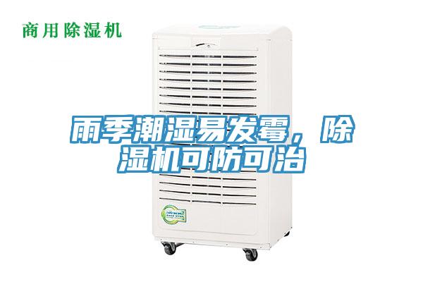 雨季潮濕易發(fā)霉，除濕機可防可治