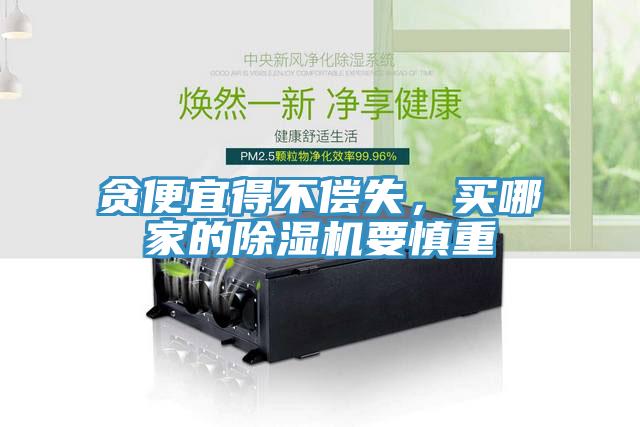 貪便宜得不償失，買哪家的除濕機(jī)要慎重