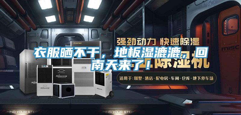 衣服曬不干，地板濕漉漉，回南天來了！