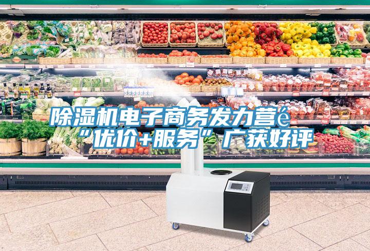 除濕機電子商務發(fā)力營銷“優(yōu)價+服務”廣獲好評