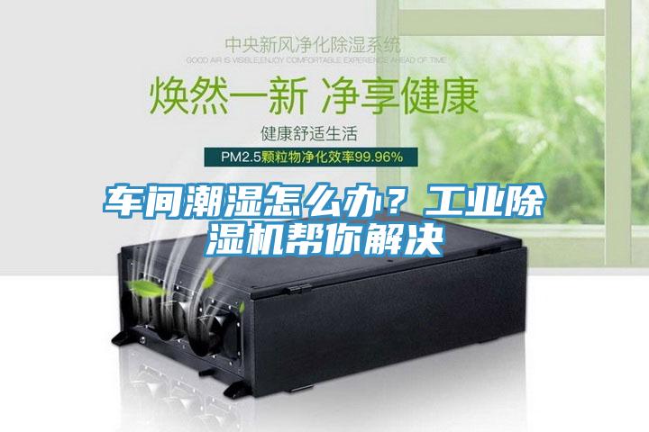 車間潮濕怎么辦？工業(yè)除濕機(jī)幫你解決
